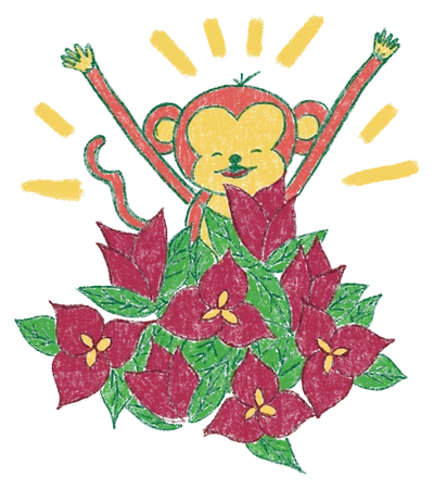 Ilustración de la envoltura de Canela